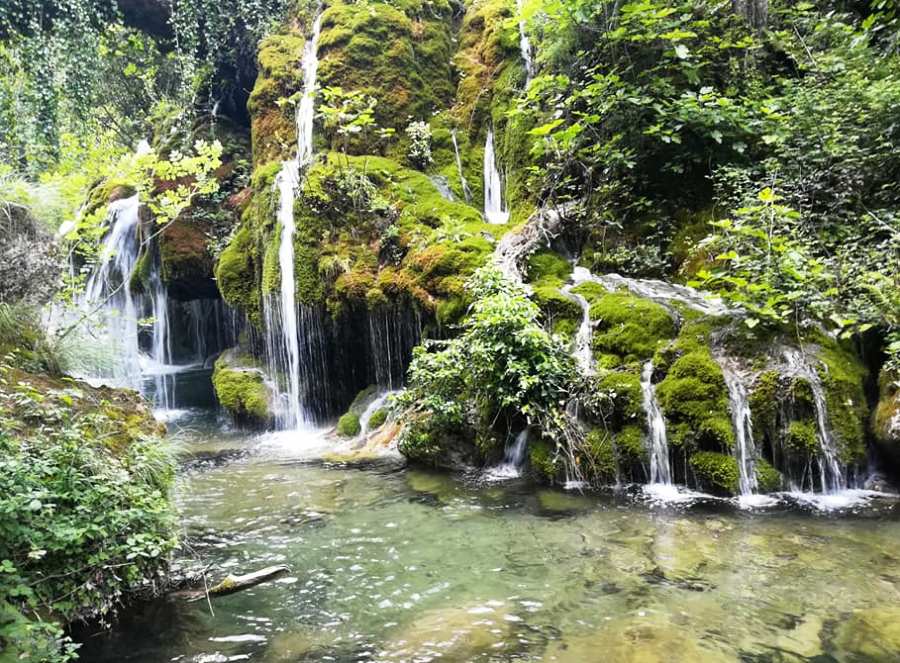 canyoning-cilento-5-experience-capelli-di-venere-dovevado.org_